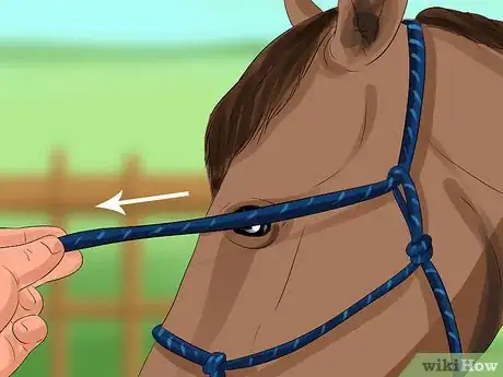 Image titled Put a Lead Rope on a Horse Step 10