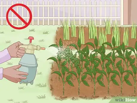 Image titled Help Protect Biodiversity Step 7