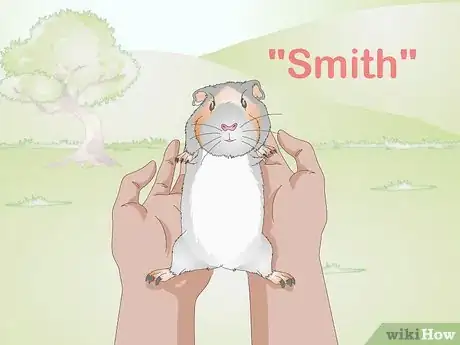 Image titled Choose Your Guinea Pig's Name Step 10