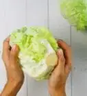 Core Lettuce