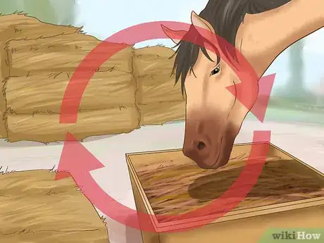 Image titled Feed Your Horse During Show Season Step 1
