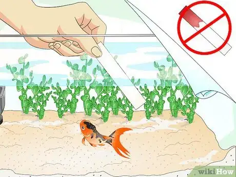 Image titled Identify Aquarium Fish Diseases Step 4