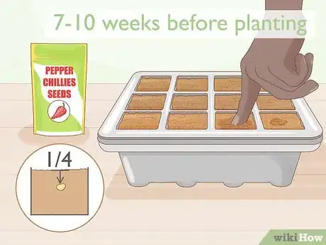 Image titled Grow Hotter Chillies Step 2