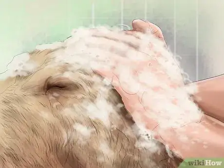 Image titled Care for Your Dog in the Winter Step 19