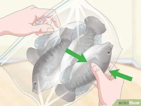 Image titled Defrost Fish Fast Step 3