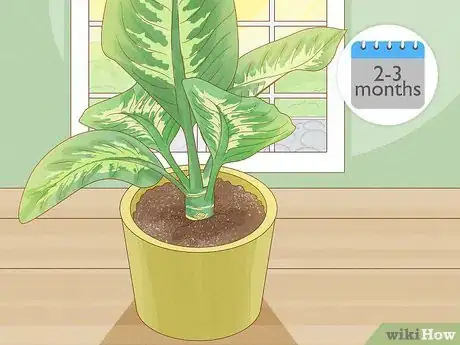 Image titled Propagate from Cane Cuttings Step 9