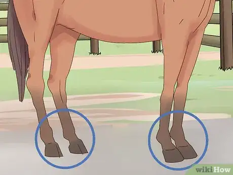 Image titled Teach a Horse to Bow Properly Step 6