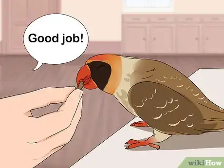 Image titled Handle a Scared Red Bellied Parrot Step 8