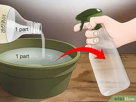 Image titled Clean Windows Without Chemicals Step 7