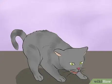 Image titled Calm an Aggressive Cat Step 11