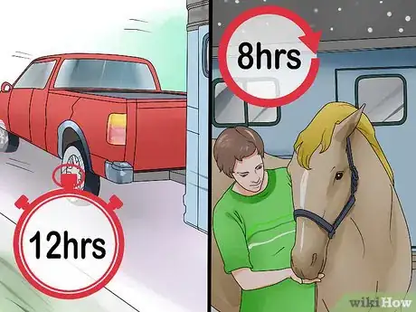 Image titled Take Your Horse on a Long Trailer Ride Step 15