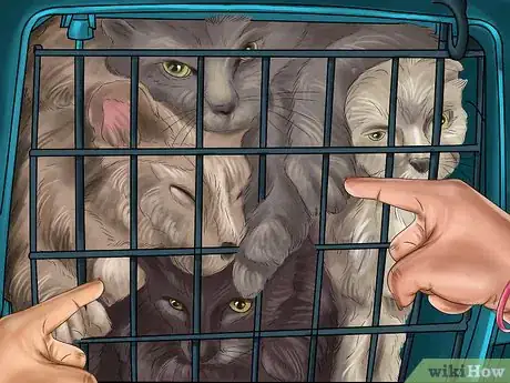 Image titled Choose a Pet from a Pet Store Step 3