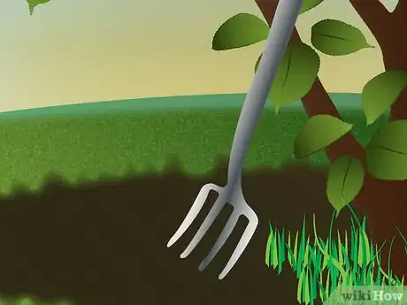 Image titled Grow Foxglove Step 4