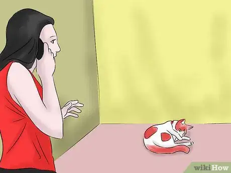 Image titled Help a Cat with Epileptic Seizures Step 5