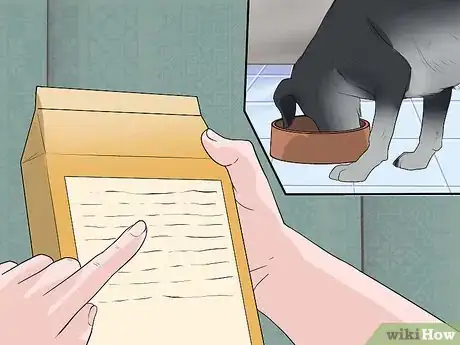 Image titled Care for Collies Step 10