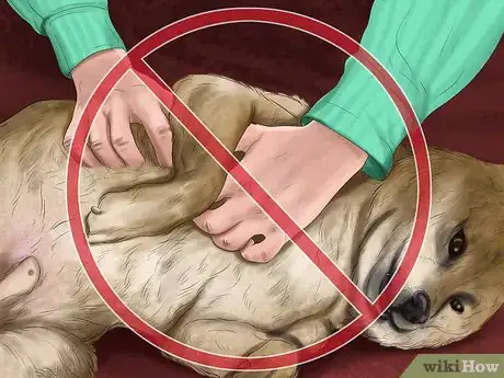 Image titled Reprimand a Pet Step 10