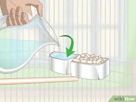 Image titled Set Up an Amazon Parrot Habitat Step 14