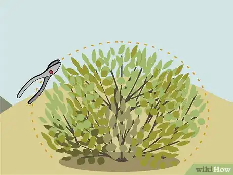 Image titled Prune Shrubs Step 06