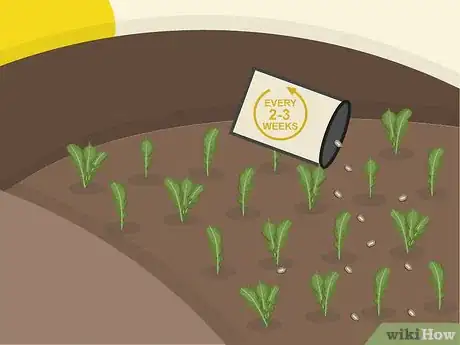 Image titled Plant Arugula Step 9