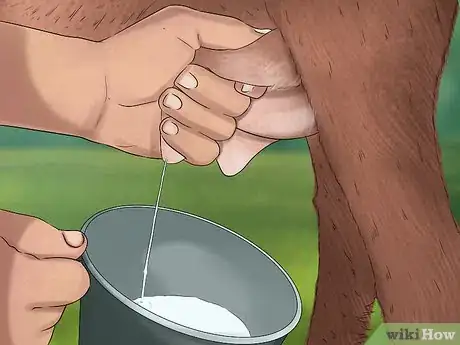 Image titled Tell if a Goat Is Pregnant Step 4