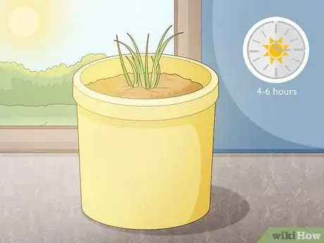 Image titled Grow Chives Indoors Step 14