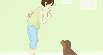 Buy a Purebred Puppy