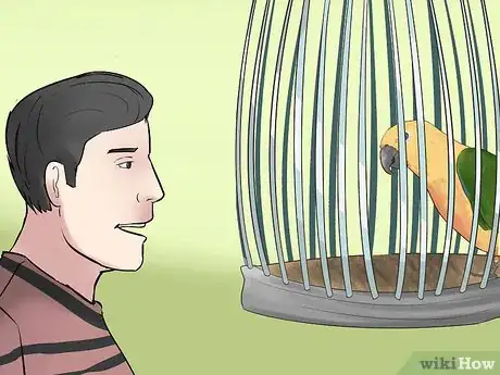 Image titled Teach a Conure to Talk Step 11