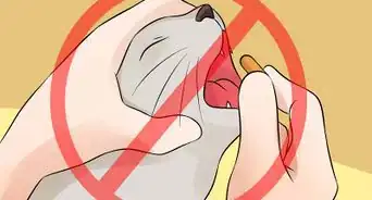 Help Your Depressed Cat