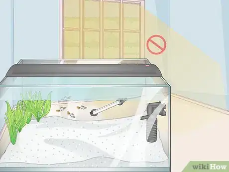 Image titled Avoid Algae in an Aquarium Step 1