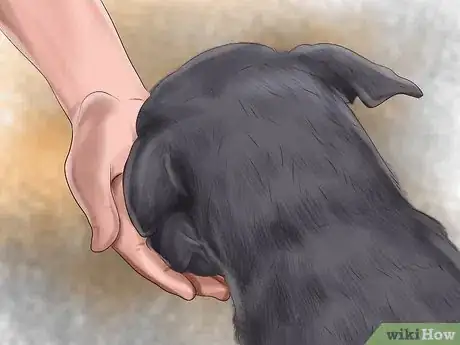 Image titled Approach an Unfamiliar Dog Step 9