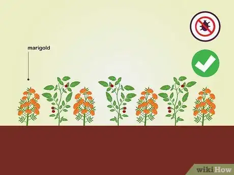 Image titled Choose Vegetables to Grow Step 15