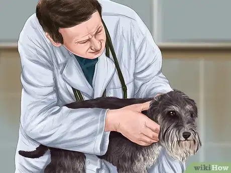 Image titled Avoid Poisoning Your Dog with Lawn Chemicals Step 12
