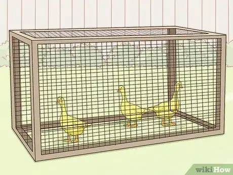 Image titled Keep Geese Step 5