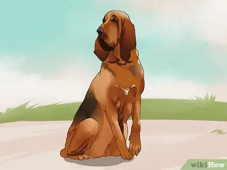 Image titled Choose a Laid‐Back Dog Step 10