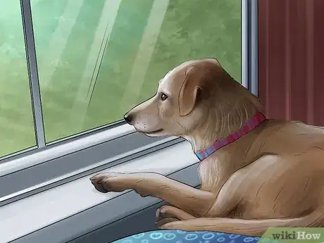 Image titled Know if You Are Ready for a Dog Step 39