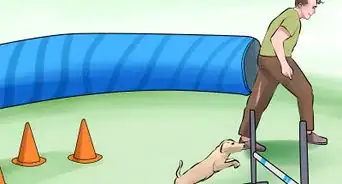 Get Your Dog to Jump Poles