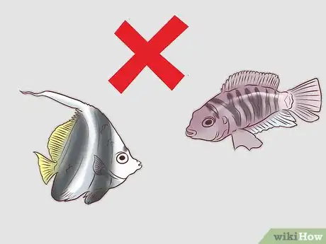 Image titled Find Compatible Tank Mates for Guppies Step 13