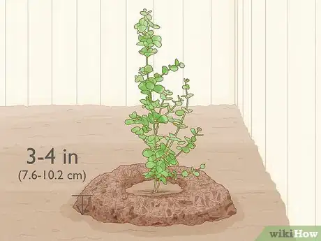 Image titled Cover Plants in the Winter Step 2