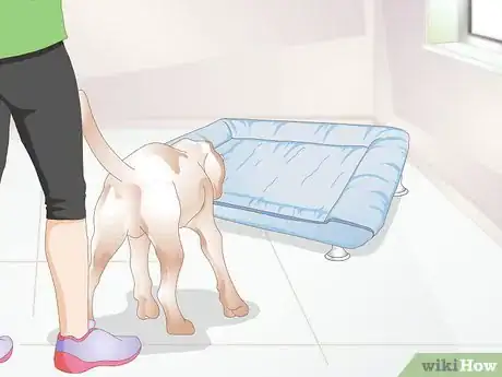 Image titled Care For a Dog with Bad Joints Step 5