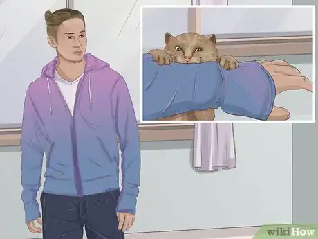 Image titled Capture an Angry or Upset Cat Step 1