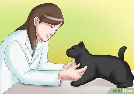 Image titled Care for a Cat with Kidney Failure Step 1