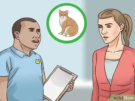 Image titled Help an Indoor Cat Being Tormented by an Outdoor Cat Step 8