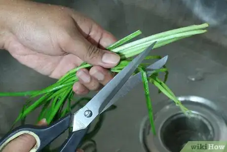 Image titled Freeze Dry Chives Step 3