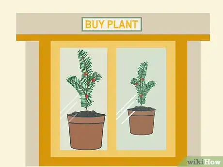 Image titled Plant Yew Step 02