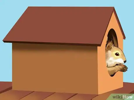 Image titled Keep a Pet Squirrel Step 13