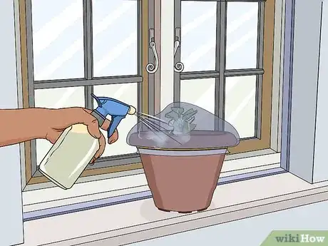 Image titled Take Softwood Cuttings Step 13