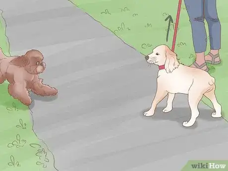 Image titled Prevent Dog Fights Step 13