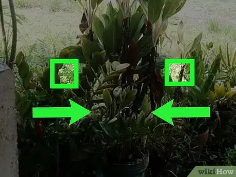 Image titled Zoom on Google Photos on iPhone or iPad Step 5