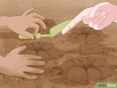 Image titled Plant a Child Friendly Garden Step 8