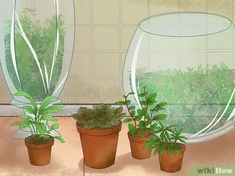 Image titled Make Moss Terrariums Step 7